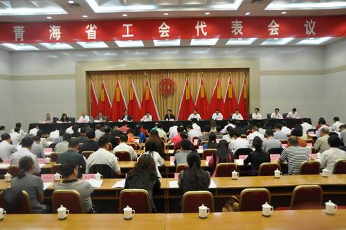 青海省选出20名中国工会十六大代表(图)