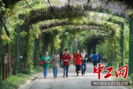 无锡中科芯(58所)工会会员环蠡湖徒步走拥抱绿