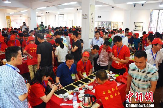 中国百年红茶“坦洋工夫”发祥地福建福安举办斗茶赛
