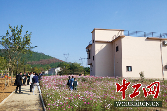 安徽无为:山里中国为乡村振兴添砖加瓦-地