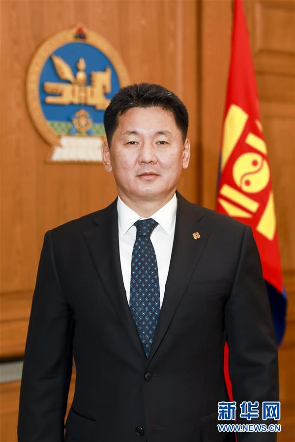 （时政）蒙古国总理呼日勒苏赫像