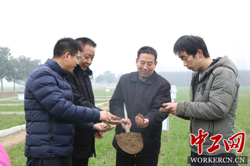 土专家党永富当选2018中国农村新闻人物