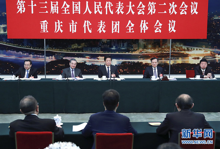 栗战书参加重庆代表团审议