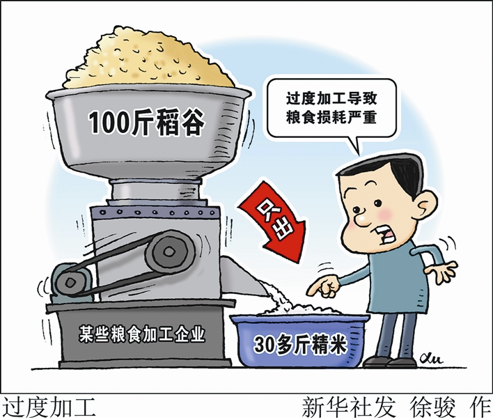 河北启动世界粮食日和全国粮食安全宣传周活动(图1)