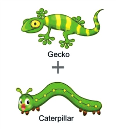 壁虎网图 20210120085553915524715.jpg