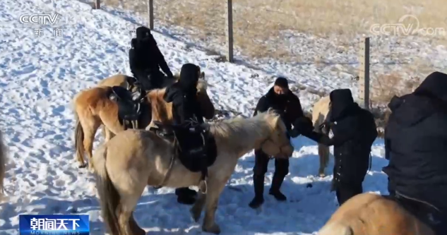 新春走基层：马背警队踏破冰封雪阻 守护祖国北疆