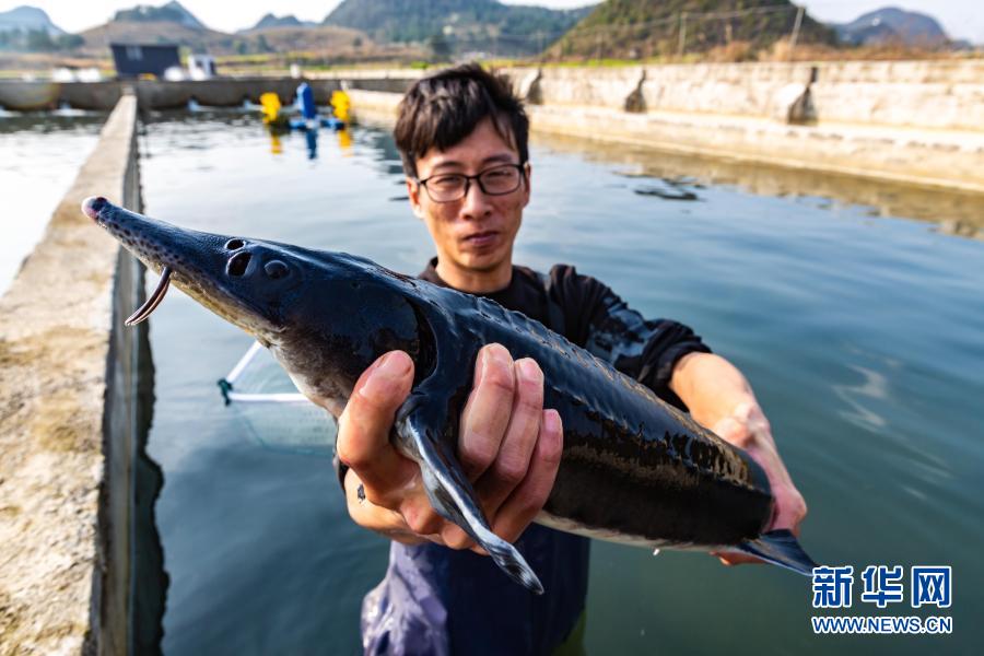 GDP2月份_2021年2月份日历图片