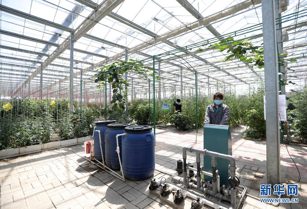 智能温控大棚设备 20210406132402816774360.jpg