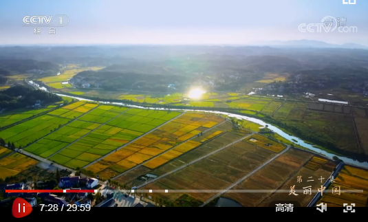 生态治理宣传片 20210630182512623750535.png