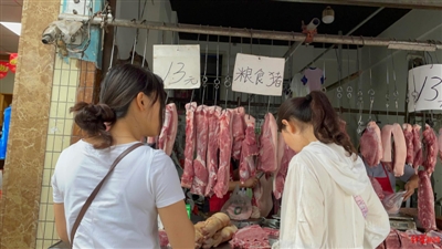 我国猪肉价格受出栏量、饲料价格双重影响