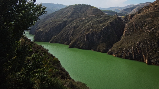 【母亲河畔的中国】守住黄河上游的绿水青山