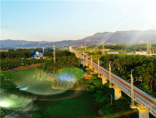 中老铁路中国段：一条留住绿水青山的生态之路
