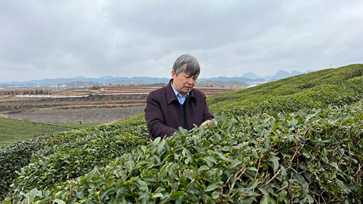 人大如何发表论文人大直博毕业难吗