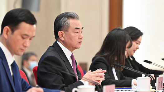 王毅：中国印尼关系是地区国家互利合作的典范