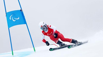 中国代表团第12金！张梦秋夺得高山滑雪女子大回转（站姿组）金牌
