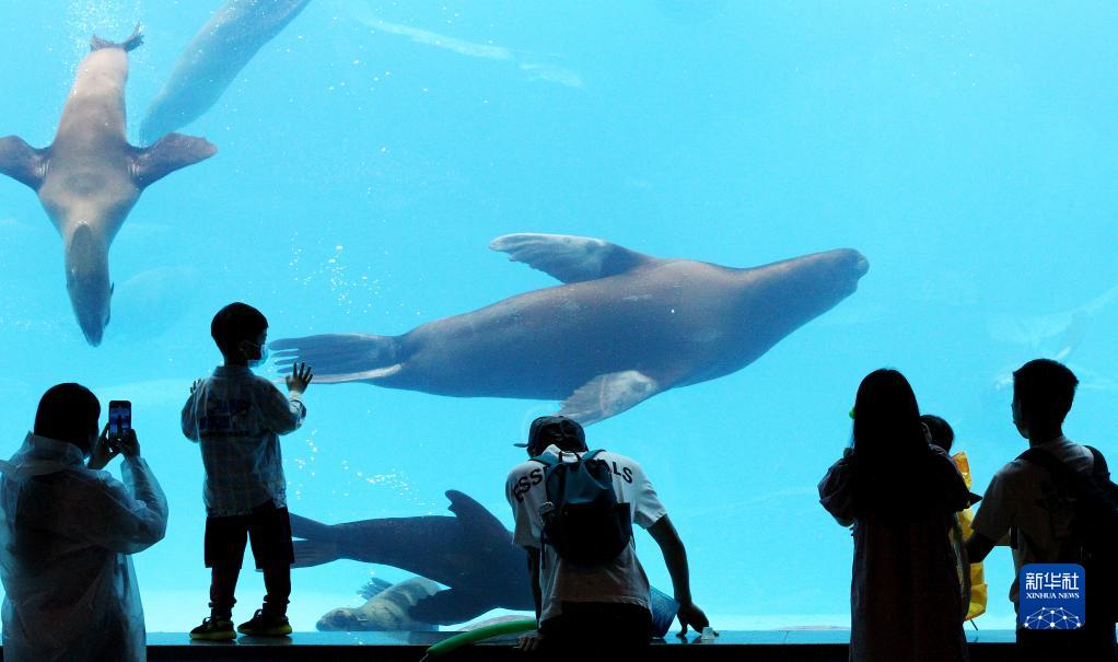 �Ϻ� ��������԰�ָ���̬����Ӫ