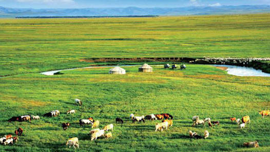 【奋进新征程 建功新时代·非凡十年】北疆崛起绿色“万里长城”