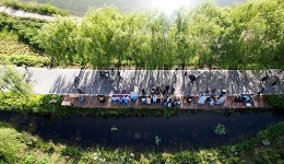 中国式现代化道路的新在哪里 69501_260x150c.jpg