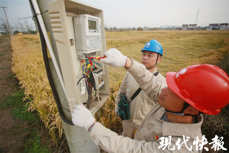 扬州有位乡村振兴“充电宝”，一季水稻为村里增收10万元