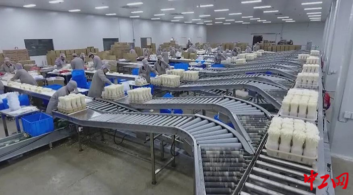 日前,村民在企业生产车间忙碌着。邹城市总工会供图 日前,村民在企业生产车间忙碌着。邹城市总工会供图