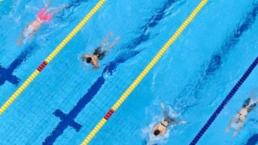 男女混合泳接力具备奥运冲金实力 中国队还需持续增强阵容厚度
