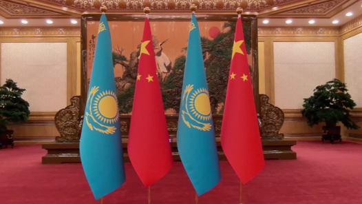 视频丨习近平会见哈萨克斯坦总统托卡耶夫