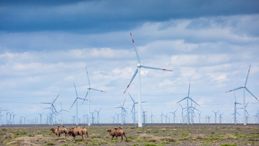 促进农村地区风电产业更好发展