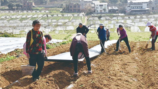 西藏措美县组织农牧民赴区外就业
