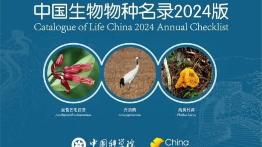 新增6423个物种，《中国生物物种名录2024版》发布