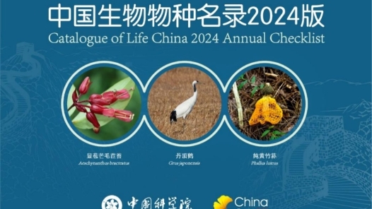 《中国生物物种名录》2024版收录物种及种下单元155364个