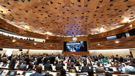 第77届世界卫生大会在日内瓦开幕