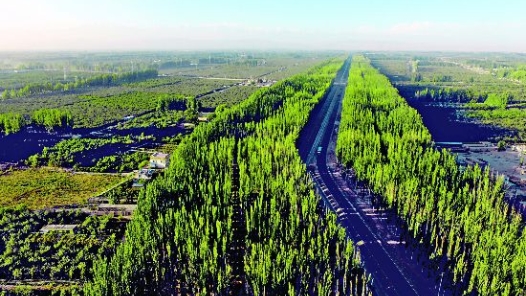 新疆阿克苏：文旅跑出“加速度”