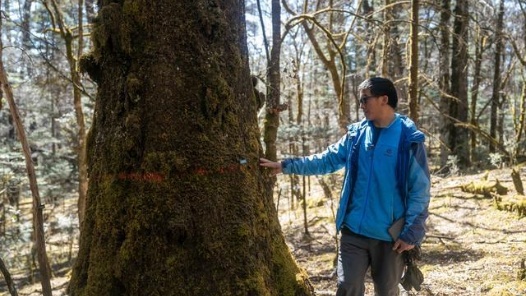 从雪山到森林，中国科学家保护生物多样性“天堂”