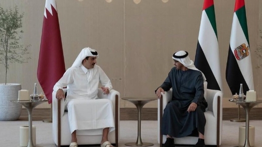 卡塔尔埃米尔与阿联酋总统举行会谈 讨论加强合作