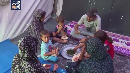 近东救济工程处：加沙地带急需足够的食物避免饥荒