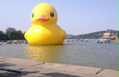 �ƽ������һ�� ���Ѽ����������