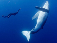 ǱˮԱ���Ӻ�����40�־޾�ͬ�Ρ�