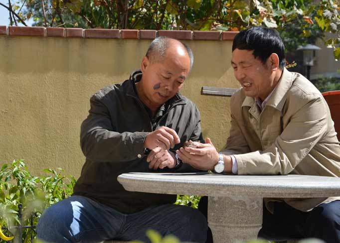 “金融卫士”智呼声的新愿:绿化大青山”