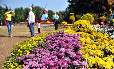 40���迪�⾫Ʒ�ջ������人 ��������פ�����͡�