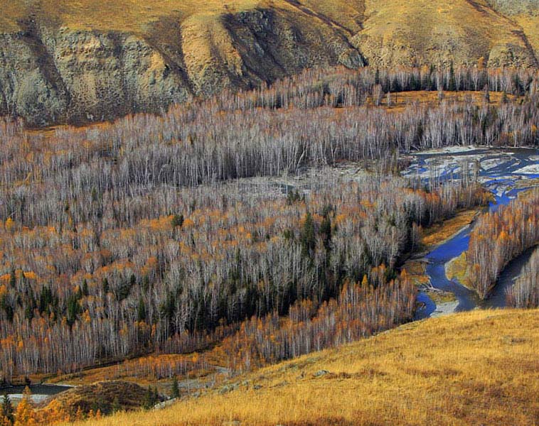 �½�����˹ѩɽ����������