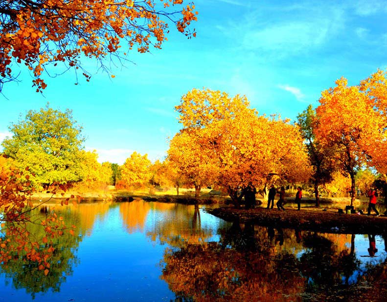 ������������ֽ����������������ˡ�