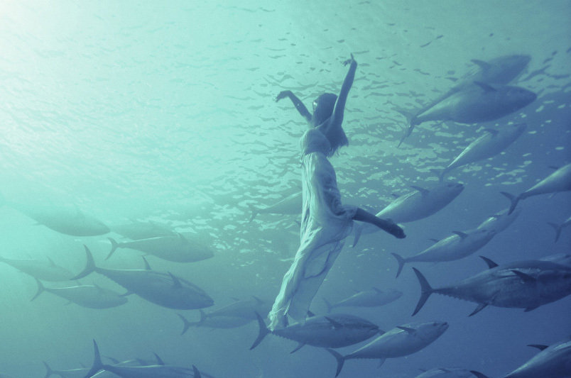 日本花游选手拍写真 大海深处翩翩起舞”