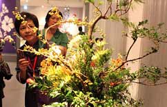 ̨�����ڲι�2013�л��廨����չ��