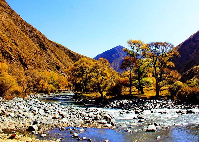 �������ϲ�ԭ�����ɫ���ͻ���