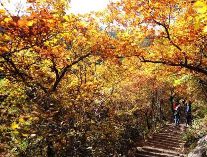 “陇右第一名山”兴隆山秋日色彩斑斓似童话世界”