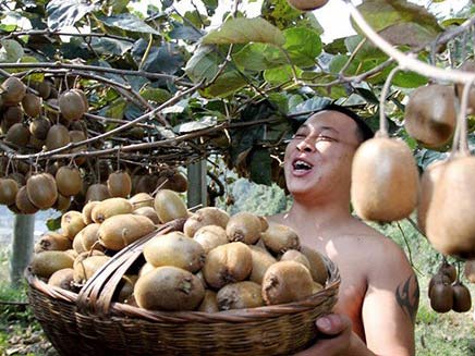 ��Ͽ⨺���Ʈ��ӭ���ա�