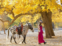 �������� ���������֡�