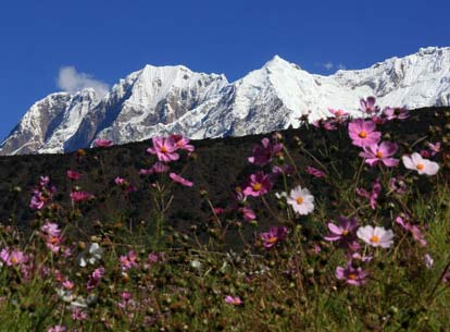 “中国最美雪山”南迦巴瓦峰”