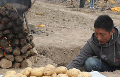 ���ඨ�������������ῪĻ��