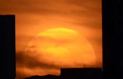 �½�����ճ��ֳ�ϼ������������